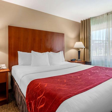 Comfort Suites North Dallas Exterior foto